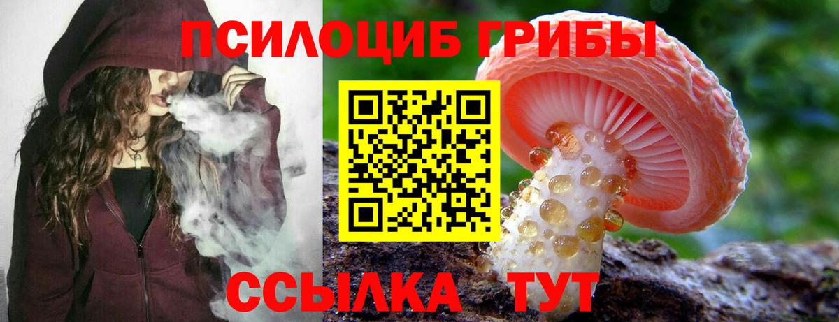 Галлюциногенные грибы ЛСД  Псилоцибиновые грибы Psilocybe  Татарск  Вход с VPN 